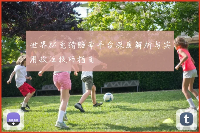 世界杯竞猜赔率平台深度解析与实用投注技巧指南