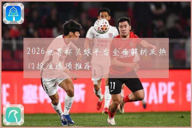 2026世界杯买球平台全面解析及热门投注选项推荐