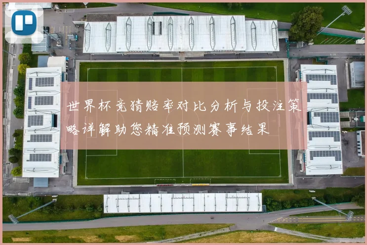 世界杯竞猜赔率对比分析与投注策略详解助您精准预测赛事结果