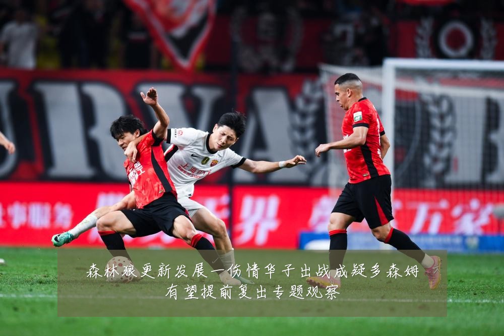 森林狼更新发展一伤情华子出战成疑多森姆有望提前复出专题观察