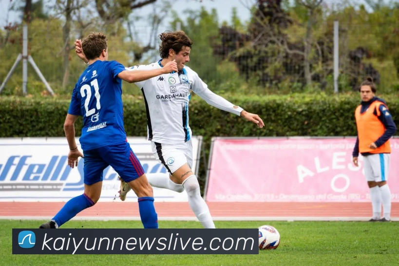 开云平台展示图