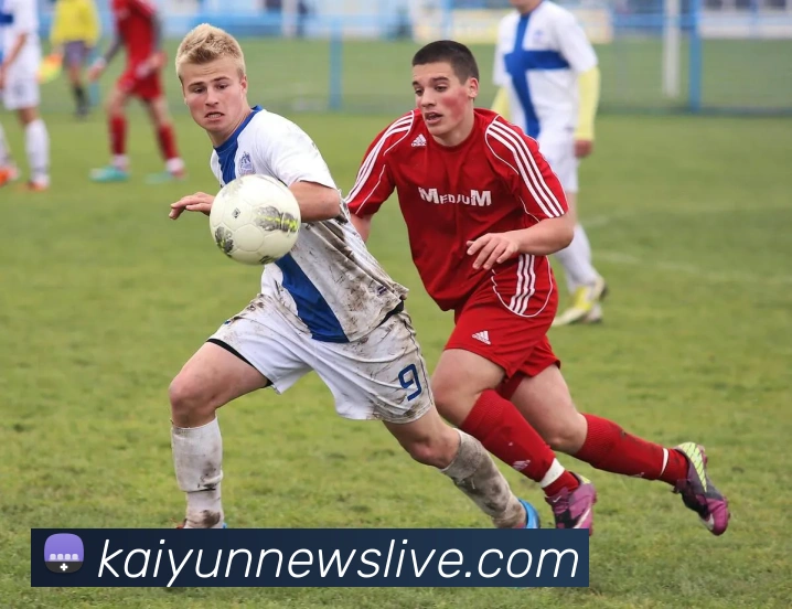 开云最新登录地址官方入口及安全访问指南全面解析